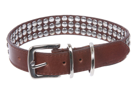 7/8" (22 mm)  Leather Dog Collar with clear rhinestones